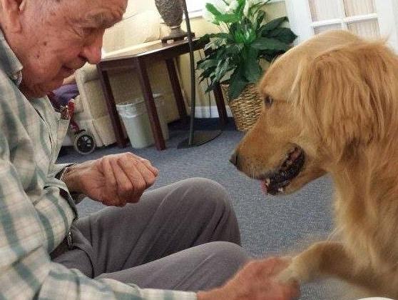 Compassion and love